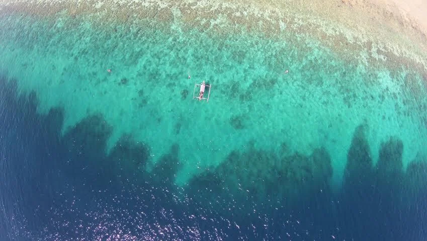 Marine biodiversity at Sumberkima Hill Bali Reef